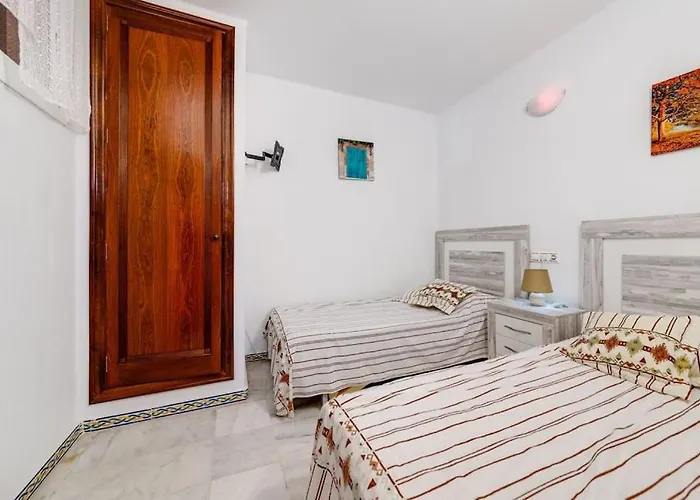 Star * 托雷维耶哈